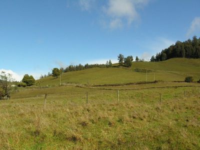 Lot 1 Arve Road, Geeveston
