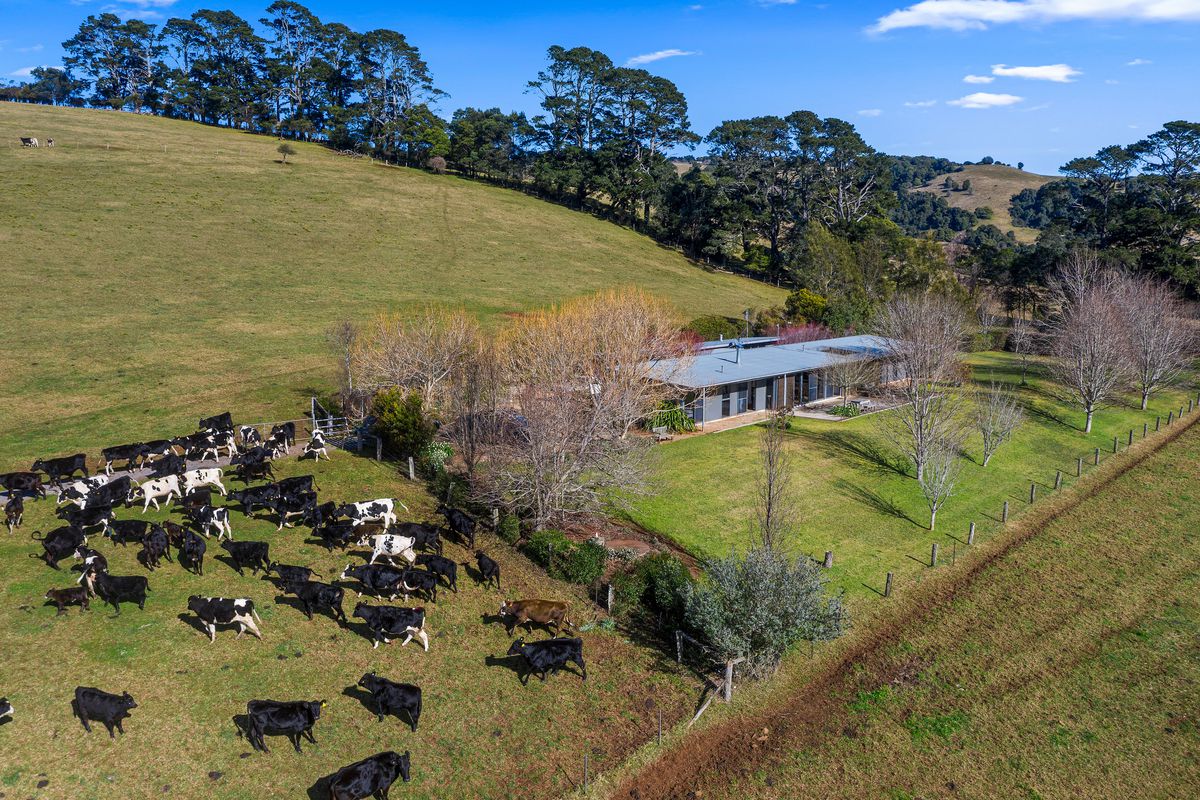 Real Estate Agent Bowral Campbell Jones Property