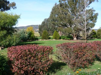 Lot 11 Burges Lane, Holbrook
