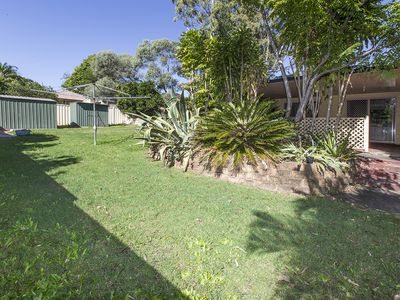 41 Kraatz Avenue, Loganlea