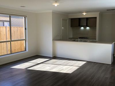 20 Palacio Terrace, Clyde North