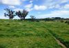 523 Griffin Road, Orange