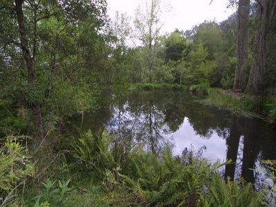 785 Mount Macedon Road, Mount Macedon