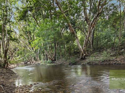 250 Williams Road, Alligator Creek
