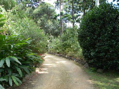 Maleny