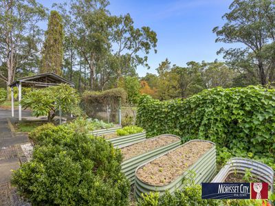 68 Moira Park Road, Morisset