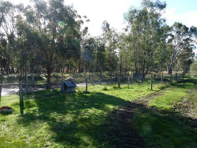85 Coleraine Road, Horsham