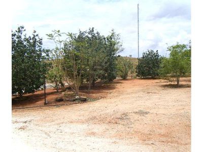 12 HALSE ROAD, Marble Bar