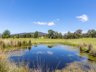 8 Andrewartha Road, Raminea