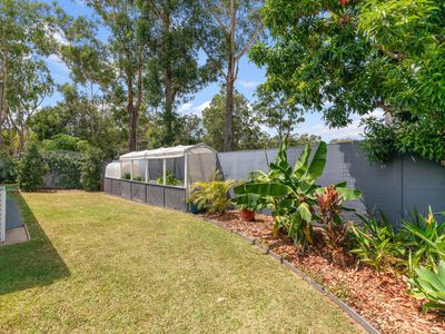 1 Corella Court, Tewantin