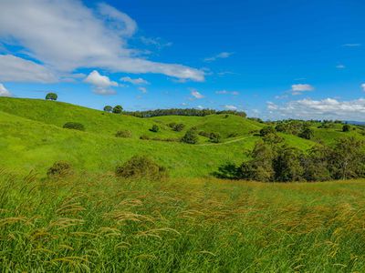 37 SIMPSONS ROAD, Cootharaba