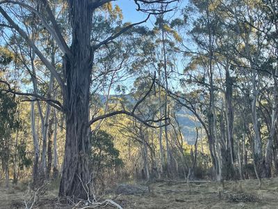 681 Hereford Hall Road, Hereford Hall via, Braidwood