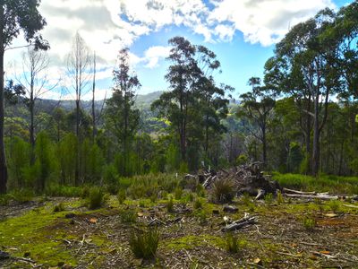 Lot 2, Off Paddys Lane, Franklin