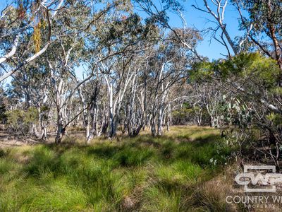 222 Strathbogie Road, Emmaville