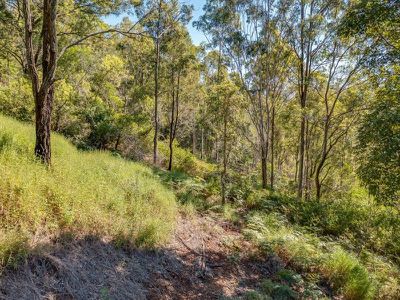 1334 TAMBORINE OXENFORD ROAD, Wongawallan