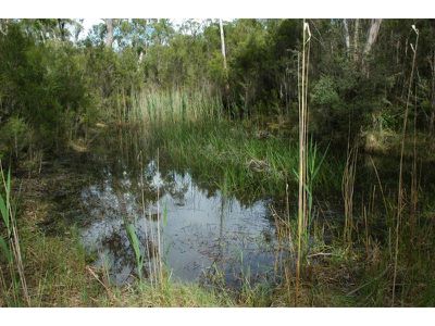 71 Maramingo Road, Maramingo Creek