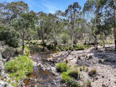 230 Hereford Hall Road, Braidwood