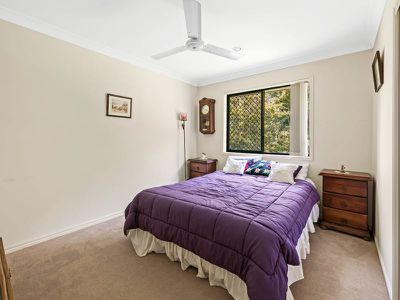 36 Daintree Boulevard, Little Mountain