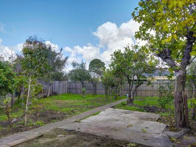 19 Bond Street, Newtown