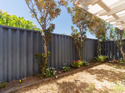 3 / 11 MUIR STREET, Innaloo