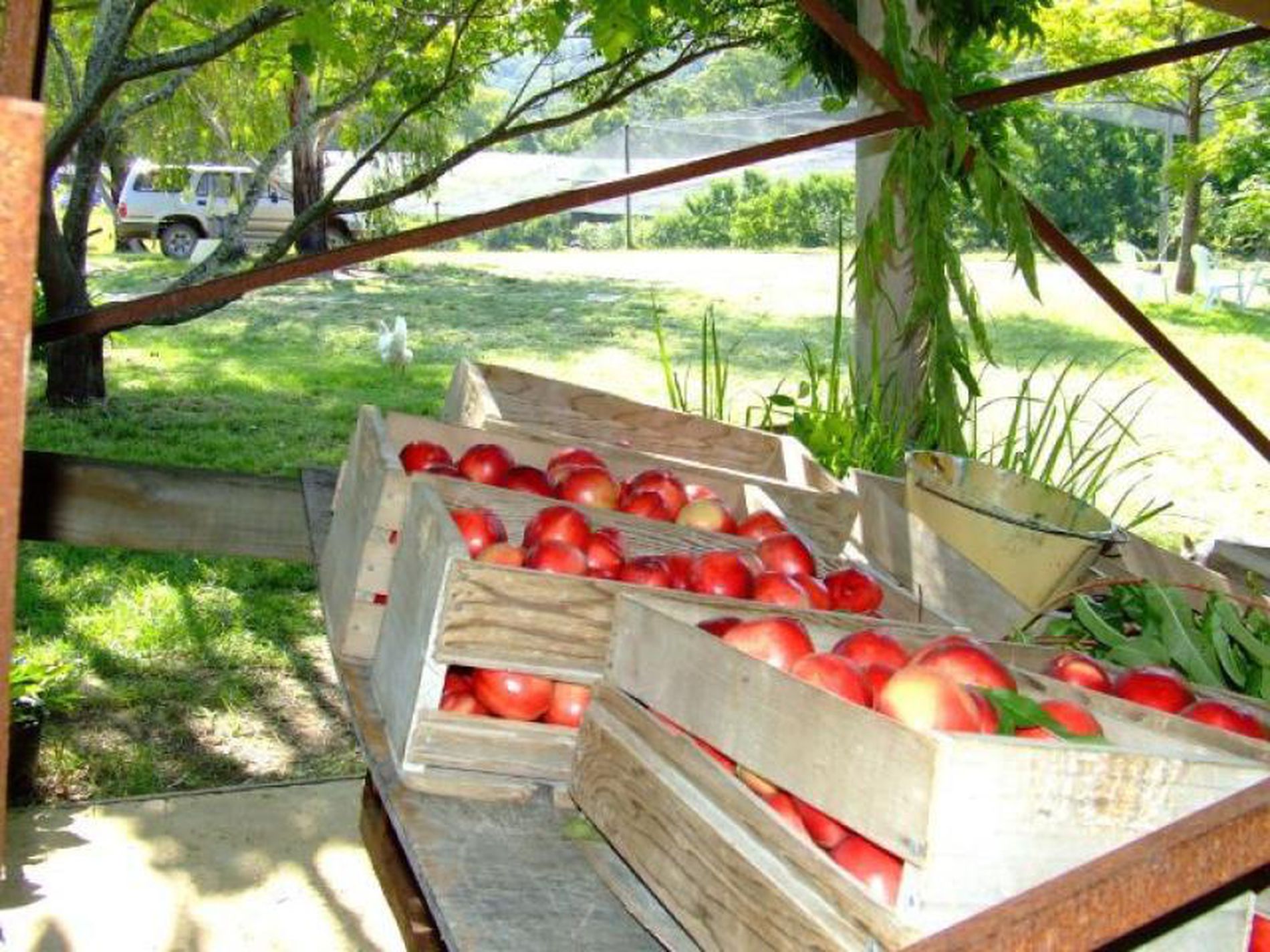 22 River Road, Brooman