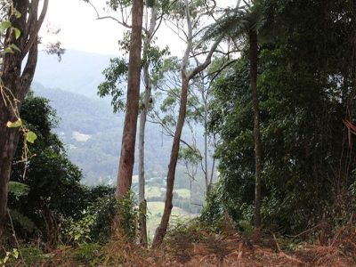 120 Parrish's Rd, Kangaroo Valley