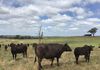 ‘Terutani’ 1097 Davys Plains Road, Cudal