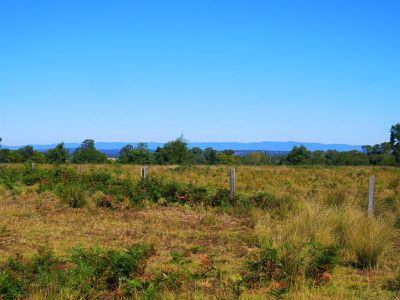 Kingaroy