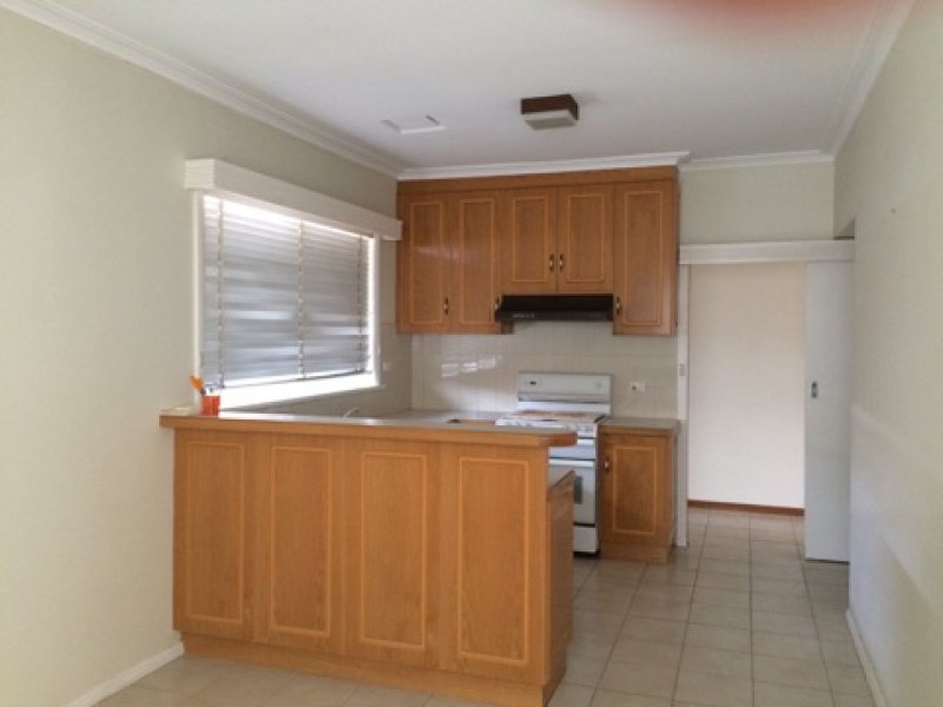 44 Walsgott Street, North Geelong