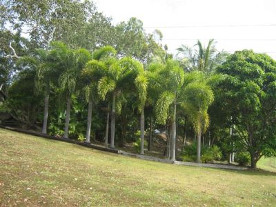 94 Hutchinson Street, Cooktown