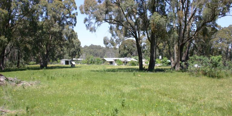Violet Town