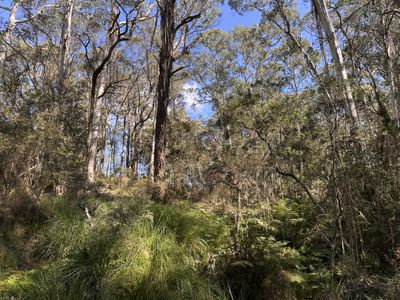 124 Gumms Road, Harolds Cross