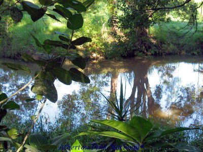 Yungaburra
