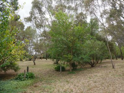 2-18 Beauchamp Street, Heathcote