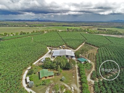387 Fassio Road, Mareeba