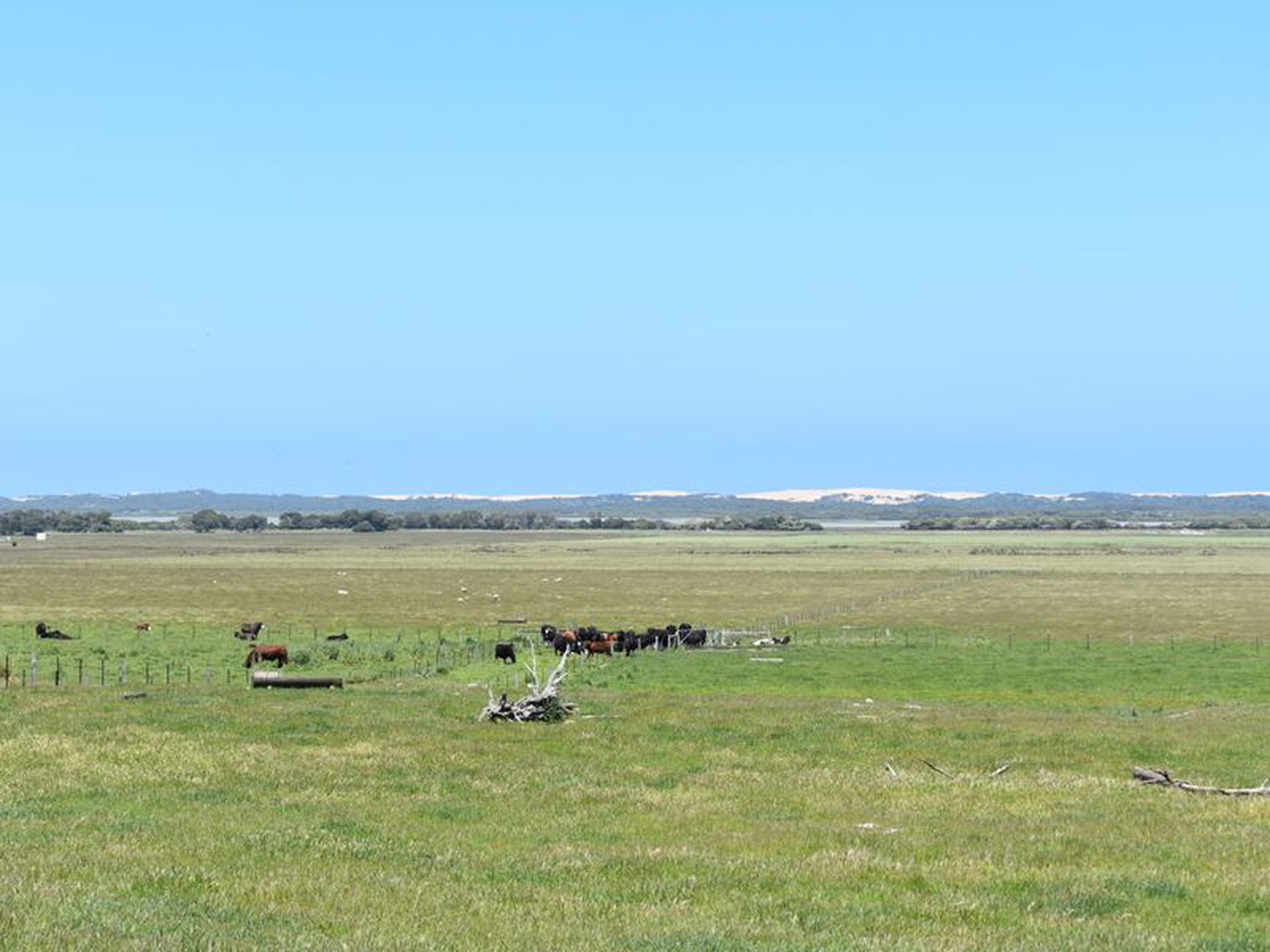 1404 Canunda Frontage Road, Millicent