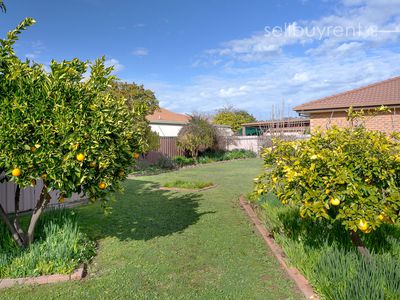 7 EDINBURGH CIRCUIT, Wodonga