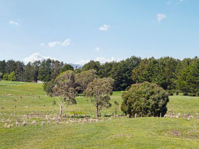 Lot 8 Lancefield-Tooborac Road, Lancefield