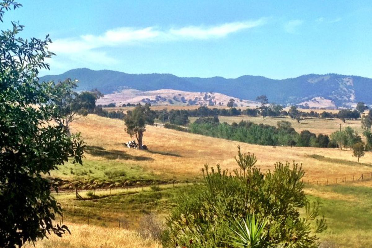 1305 Mount Buller Road, Merrijig