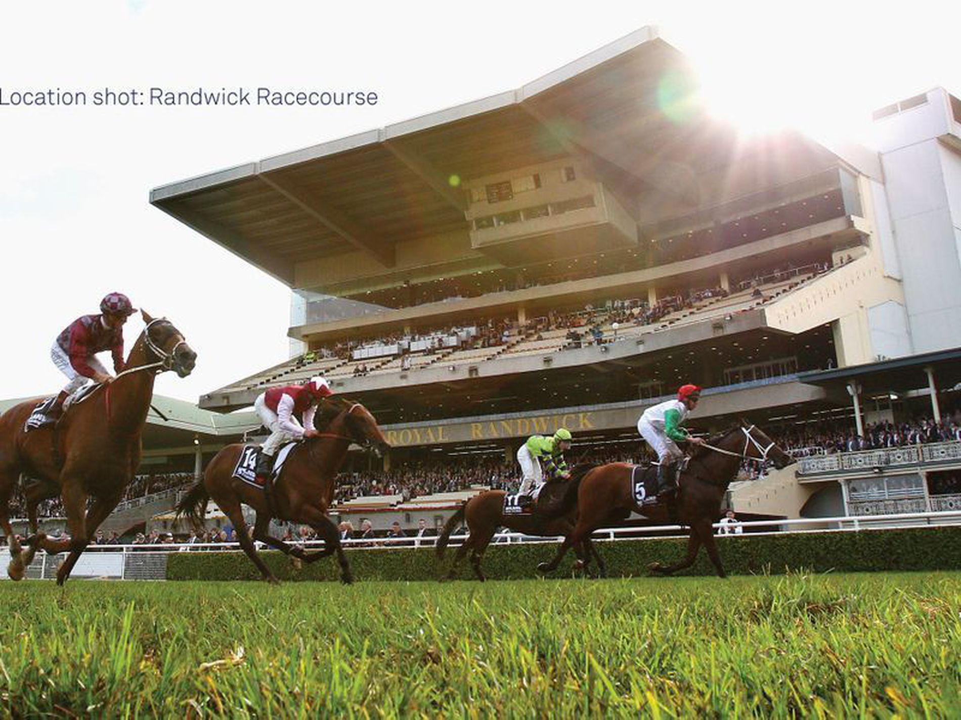 21 / 7-9 Alison Road, Kensington