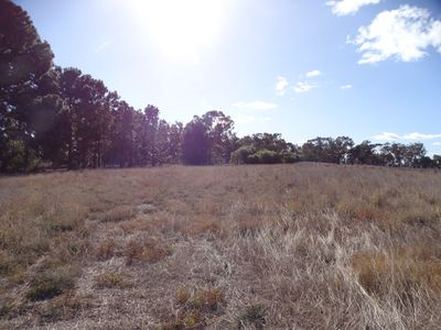 373 Grimwade Road, Wahring