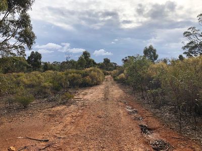60D Mt. Kerang Road, Buckrabanyule