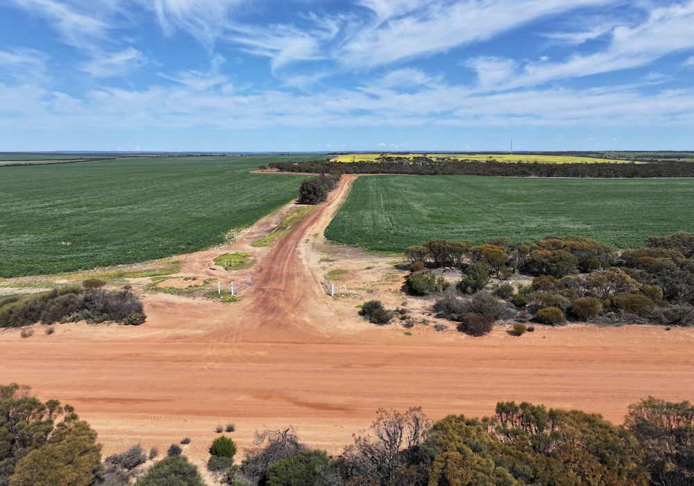 'Kamdarley' & 'King View', Hyden