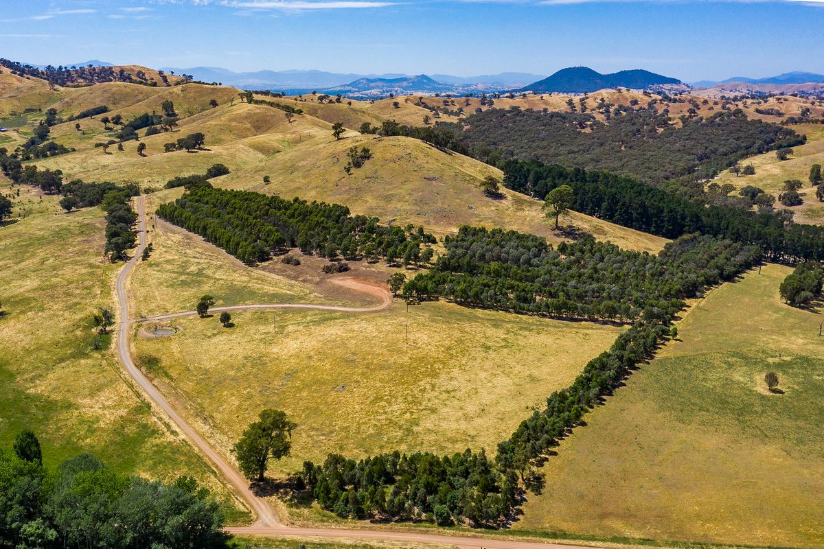 Lot 1, Red Box Lane, Bonnie Doon