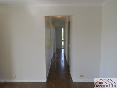 54 Palm, Maleny
