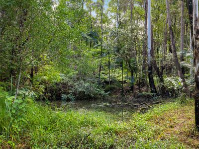 476 WALLACE ROAD, Terania Creek