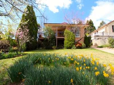 3 Holterman Place, Kelso