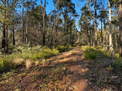 123 Lake View Road, Lake Leake