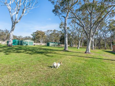39 Hill Street, Tomerong