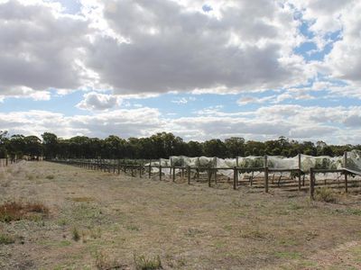 300 Old Heathcote Road, Mount Camel